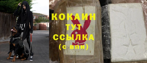 дмт Новодвинск