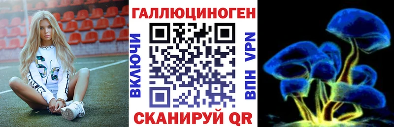 Псилоцибиновые грибы Psilocybine cubensis магазин наркотиков мега Шумиха
